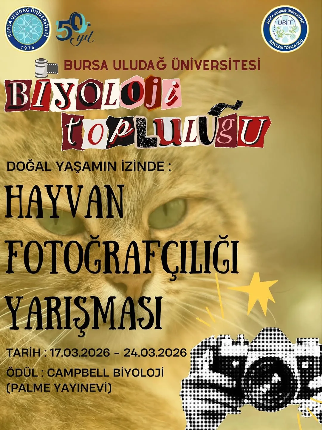 Hayvan Fotoğrafçılığı Yarışması