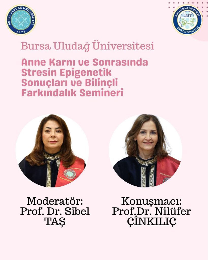 Anne Karnı ve Sonrasında Stresin Epigenetik Sonuçları ve Bilinçli Farkındalık Semineri