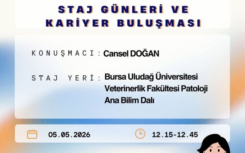 UBİT Staj Günleri ve Kariyer Buluşması